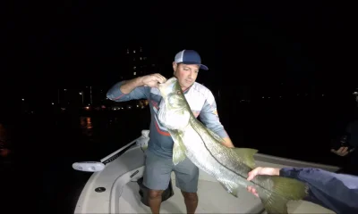 Miami Report Video 0