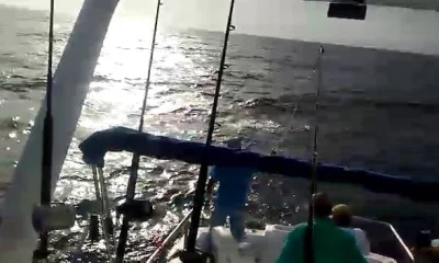 Cabo San Lucas Bericht Video 0