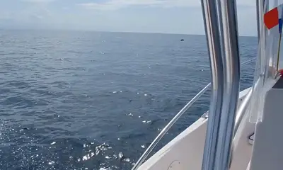 Panama City Report Video 1