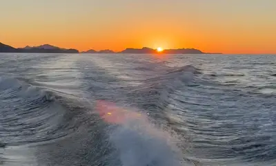 San Carlos Report Video 0