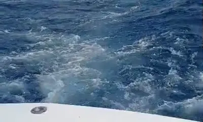 Fishies were biting
