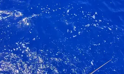 San Juan Report Video 0