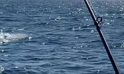 Jacksonville Report Video 1