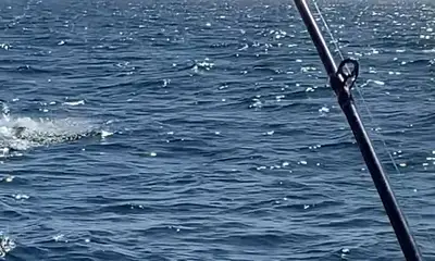 Jacksonville Report Video 1