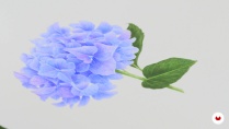 Lesson image