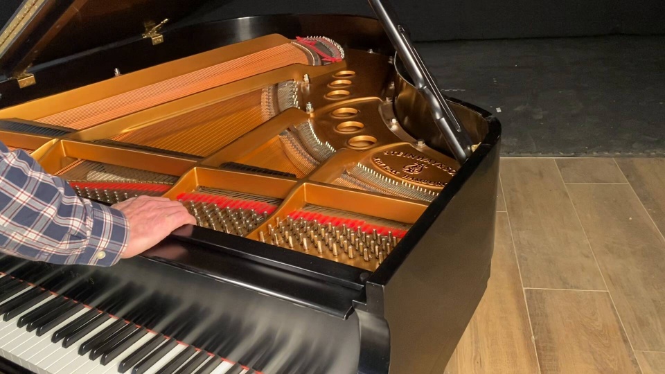 2000 Steinway Grand M