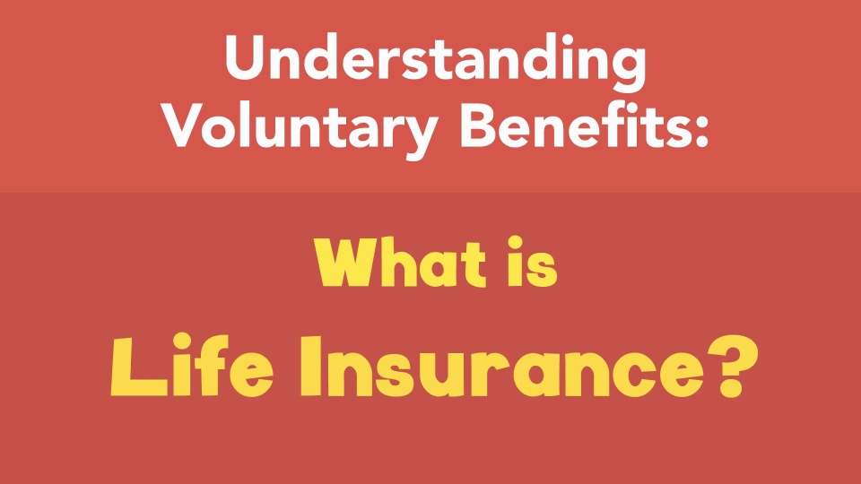 What is Life Insurance?