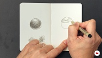 Lesson image