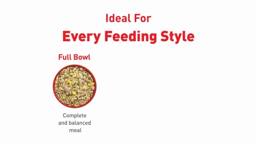 Royal Canin Fresh Health Nutrition Adult Dog Food