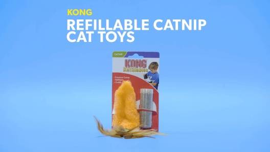 KONG Refillables Carrot w/Feather Top Cat Toy – Petsense