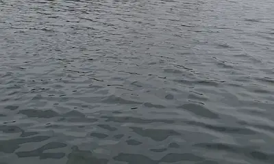 San Antonio Report Video 2