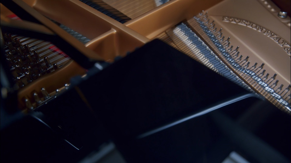 1965 Steinway Grand B