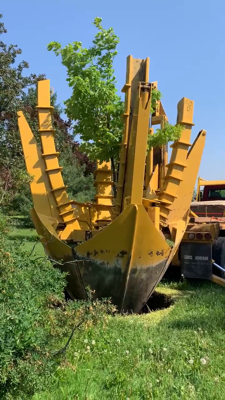 Tree relocation at The Ottawa Hospital