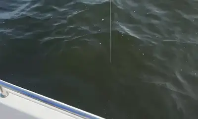 Reporte de Clewiston Video 0