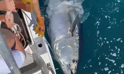 Algarve Report Video 0