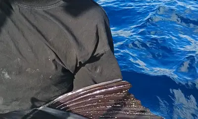 Fort Lauderdale Report Video 1