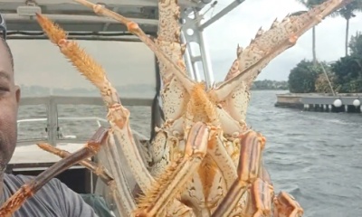 West Bay Report Video 0