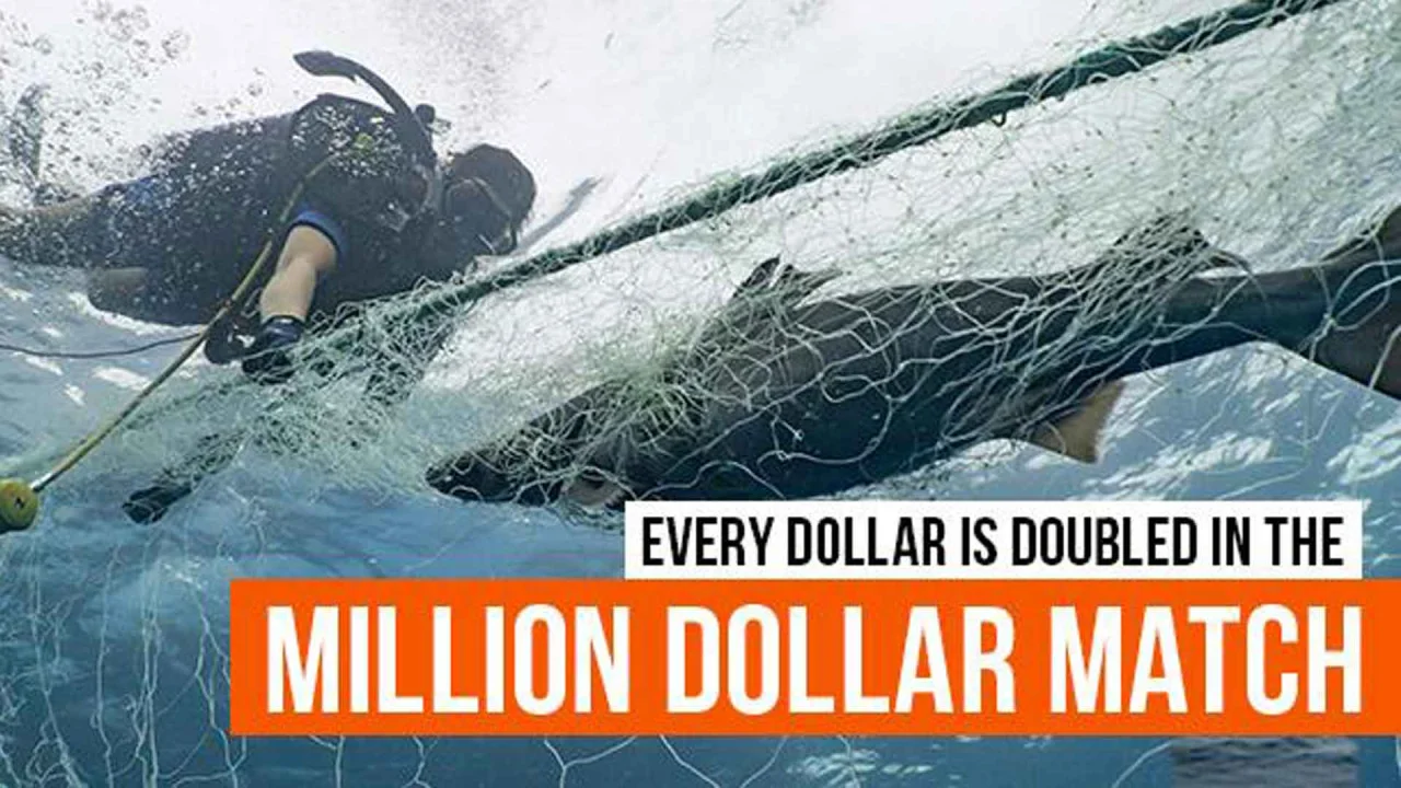 Кунк-фу панда порно мультфильм Сиыр қыз позициясында камминг жасайтын әйелдердің порно жинағы