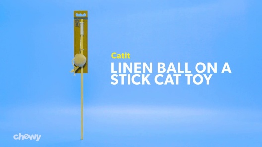 Play Video: Learn More About Catit From Our Team of Experts