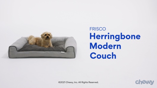 Play Video: Learn More About Frisco From Our Team of Experts