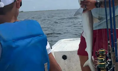 Captain Patrick made it a ton of fun. 