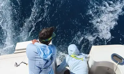 Tavira Report Video 1