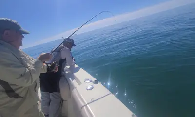 Gulf Shores Report Video 0