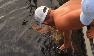 Carolina Beach Report Video 0