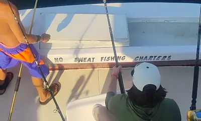 Awesome Experience