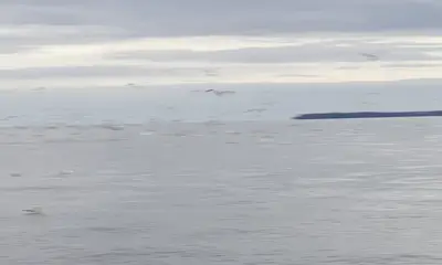 Harford County Report Video 4