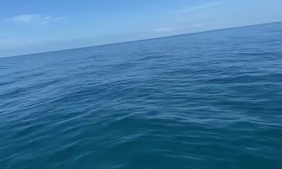 Sarasota Report Video 0