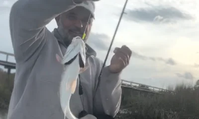 Darien Report Video 0