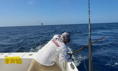 Blue Marlin Expects 