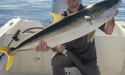 Baja California Sur Report Video 2