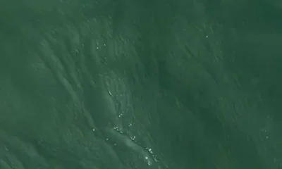 Poquoson Report Video 0