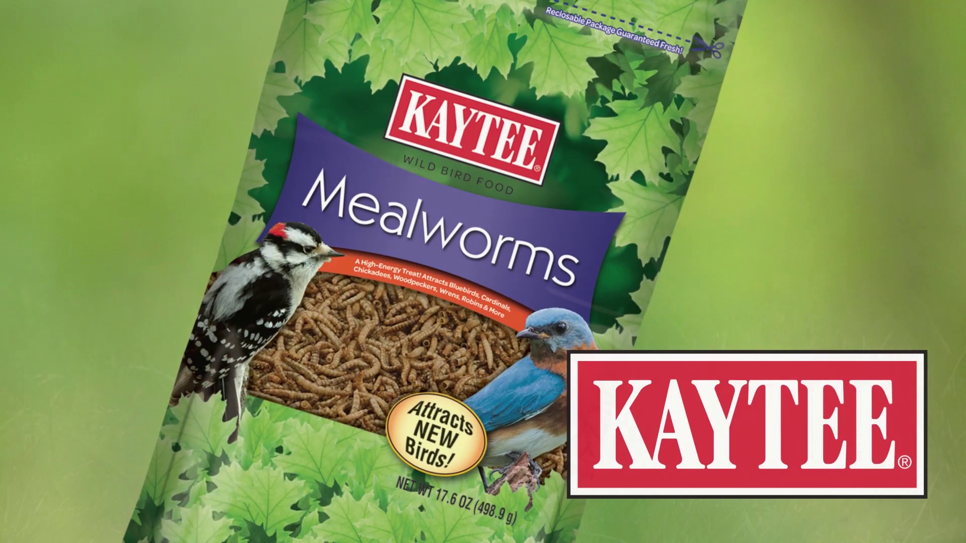 Kaytee mealworms 