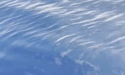 Aransas Bay Report Video 2
