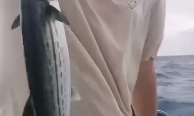 Playa Del Carmen Report Video 0