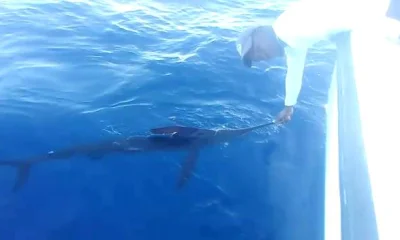 Punta Cana Report Video 0