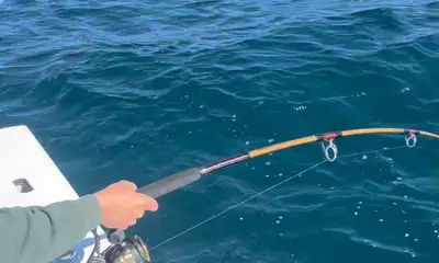 Manteo Report Video 0