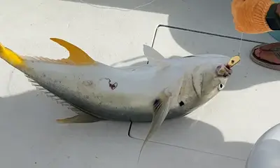 Great experience! Great service and great fishing experience. 