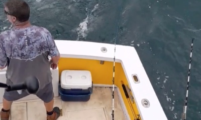 Wanchese Report Video 0