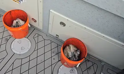 Washington Coast Report Video 1