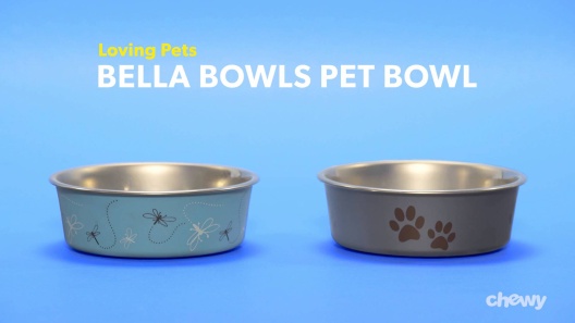 Loving Pets Bella Bowls Pet Bowl, Espresso, Large, On Sale