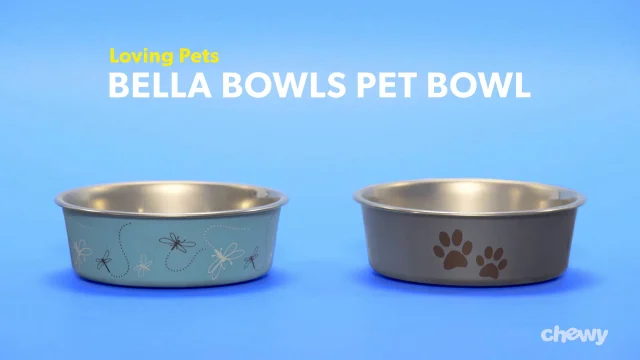 Loving Pets Metallic Bella Bowl 