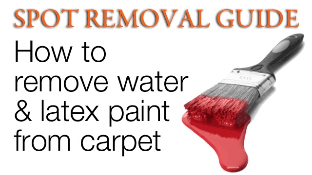 How To Remove Paint Stains From Carpet Spot Removal Guide