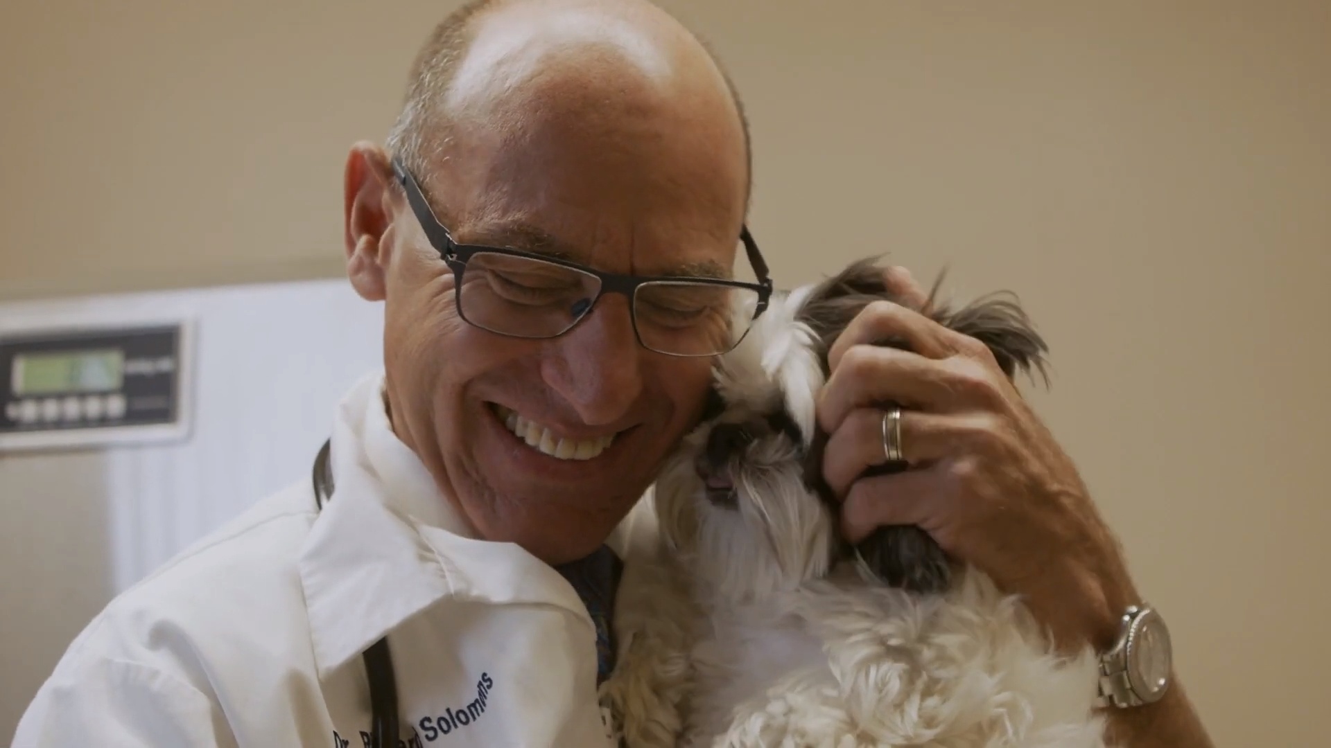 overnight animal hospital near me