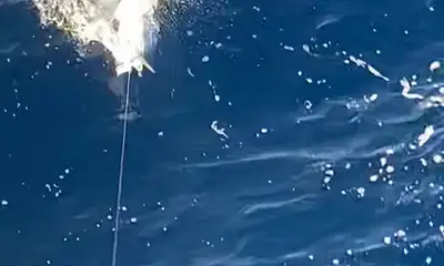 Boynton Beach Report Video 0