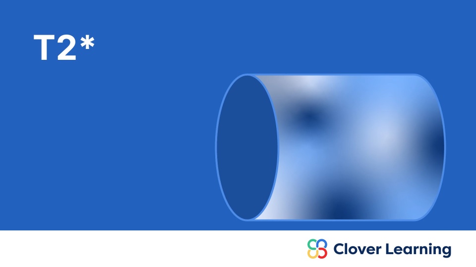 T2* | Video Lesson | Clover Learning