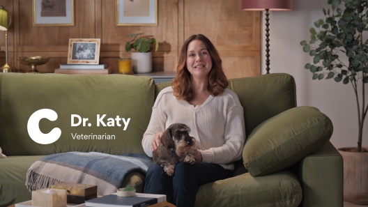 Purina Pro Plan Adult Sensitive Skin & Stomach Salmon & Rice Formula Dry Dog Food